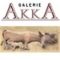 Galerie Akka