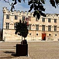 Musée du Petit Palais