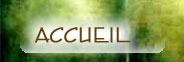 Accueil